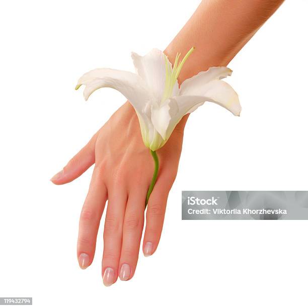 Weibliche Hand Mit Lily Flower Stockfoto und mehr Bilder von Attraktive Frau - Attraktive Frau, Blume, Eine Frau allein