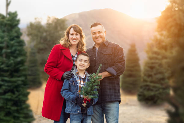 Mixed Race Family Outdoors At Christmas Tree Farm Mixed Race Family Outdoors At Christmas Tree Farm. plantation photos stock pictures, royalty-free photos & images