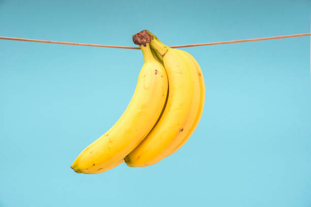 istock Bananas on light blue background, vertical still life 1194330596