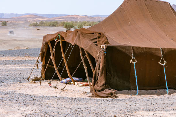 istock Jaimas used by Arab nomads in the Merzouga desert. Morocco 1194331473