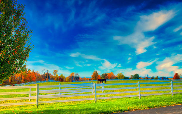 istock Fall at The Horse farm 1194336173