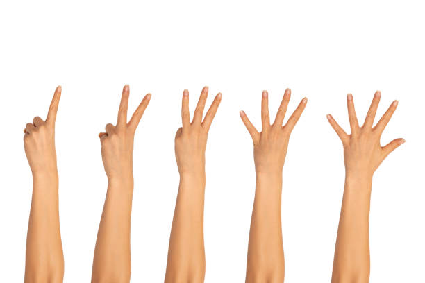 istock Hands, fingers and numbers. On a white background. Isolated 1194336220