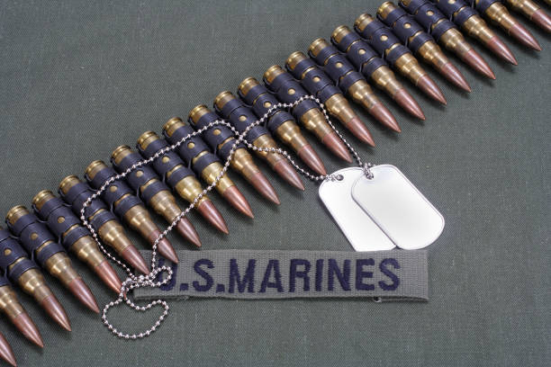 istock ammunition belt with dog tags on US MARINES uniform 1194337110