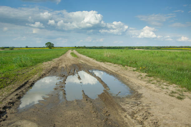 istock Puddles on a sandy road through fields and clouds on a blue sky 1194337204