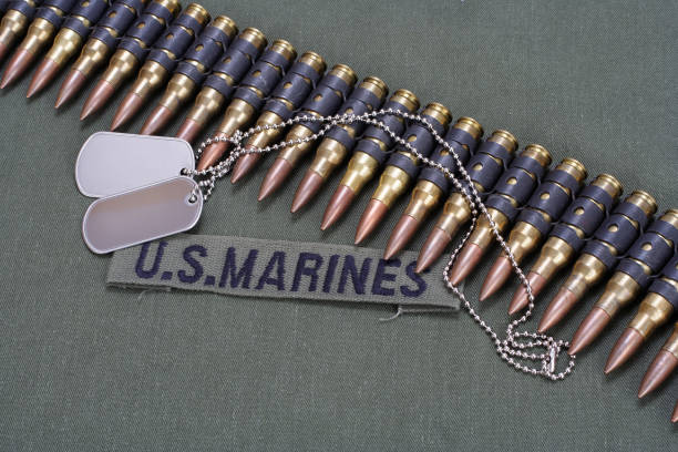 istock ammunition belt with dog tags on US MARINES uniform 1194337447