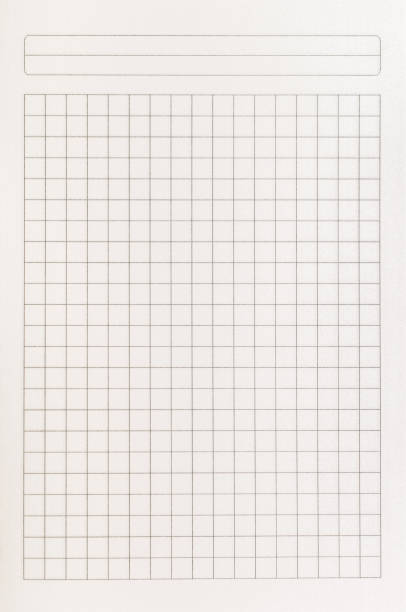 istock Checkered copybook page texture. Blank page with checkered writing area and lined title section. 1194341814