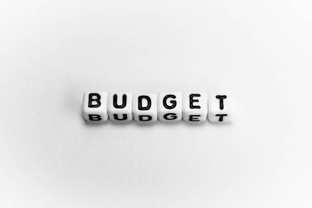 istock White cubes with word BUDGET on white background 1194343824