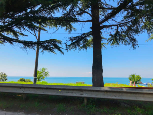 istock Cloudless sky, horizon, sea, road, tree near the road 1194353680