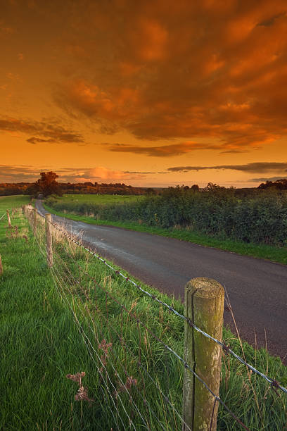 istock Fence alongside a country lane 119436152