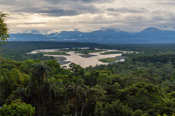 istock View of the Pastaza River 1194368404