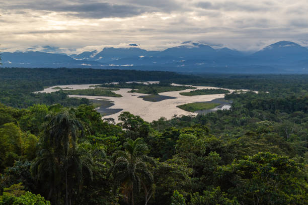 istock View of the Pastaza River 1194368408