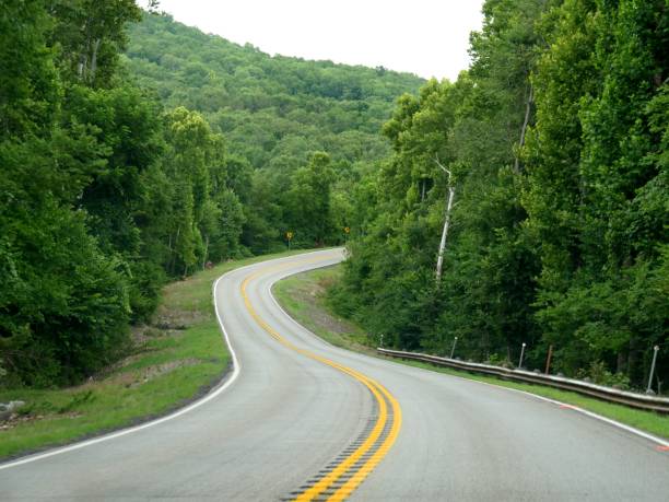 istock Scenic winding road bordered by lush trees in springtime 1194375612