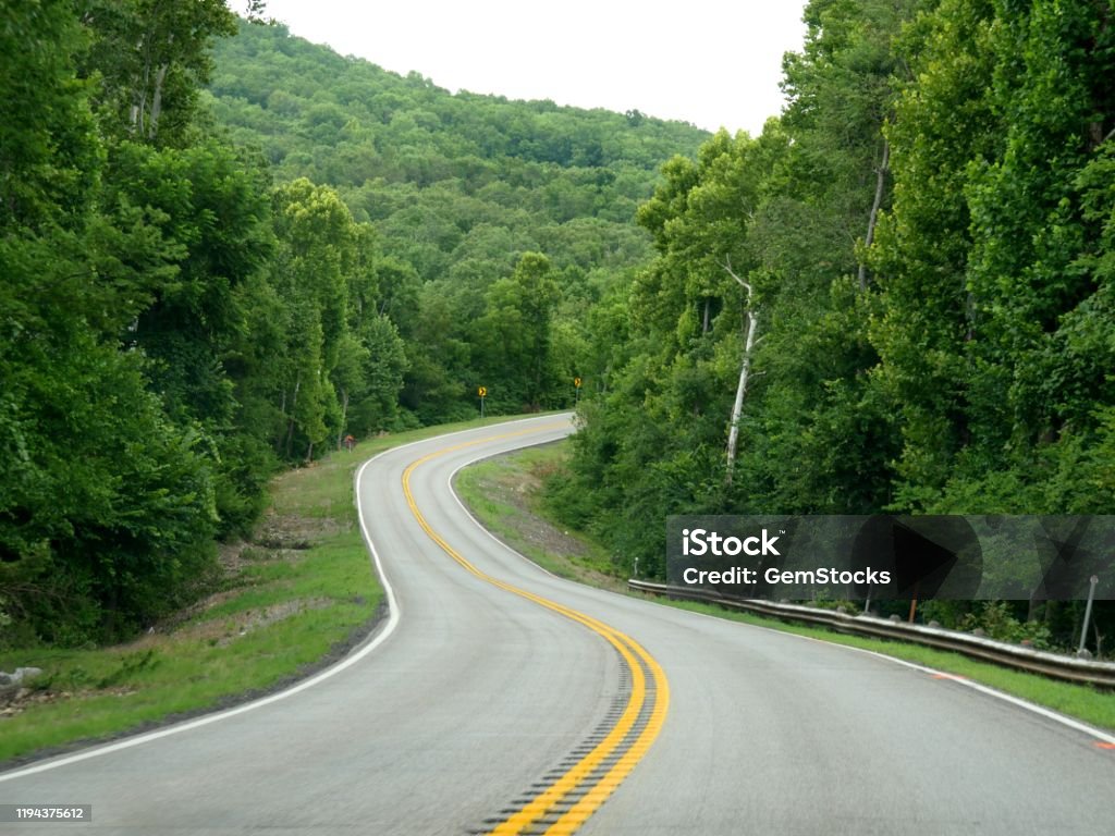 Con Đường Uốn Lượn Tuyệt Đẹp Giáp Với Những Hàng Cây Tươi Tốt Vào ...