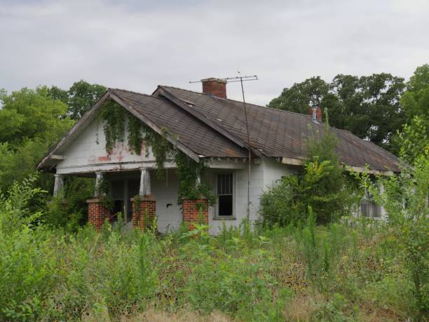 istock A dilapidated, abandoned house surrounded by shrubs and trees 1194375690
