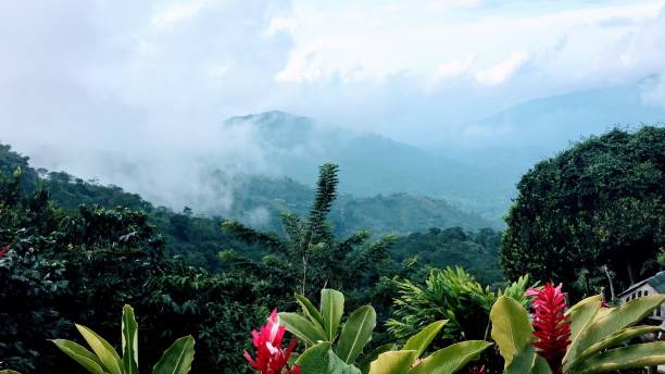 istock Minca - Sierra Nevada de Santa Marta 1194377833