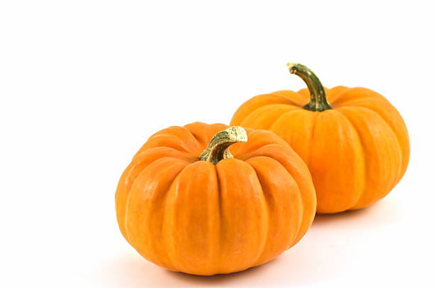 dynia miniaturowa - miniature pumpkin zdjęcia i obrazy z banku zdjęć