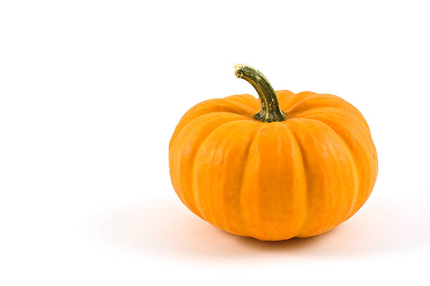 dynia miniaturowa - miniature pumpkin zdjęcia i obrazy z banku zdjęć