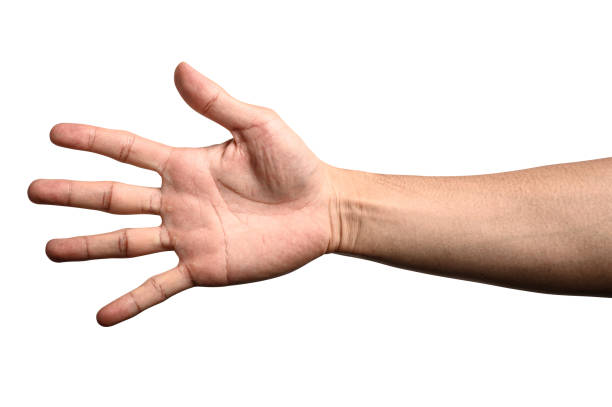 istock Hand show finger number five isolated on white background with clipping path. 1194391196