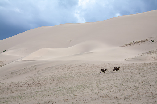 Desert Dune