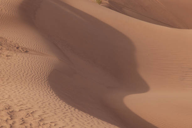 istock Gobi Desert Singing Sand Dunes 1194393105