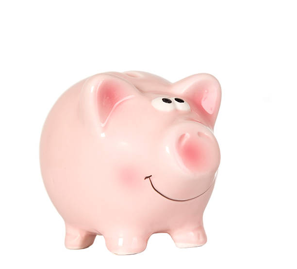 istock Pig is smiling and standing without money 119439320