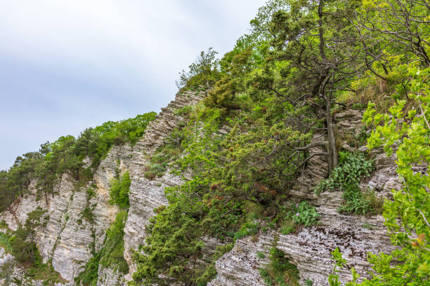 istock Mountain with a steep rocky slope and valley with thick green forest on it. 1194395094