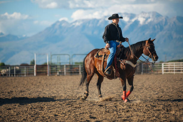 istock Cowboy at rodeo arena 1194395968