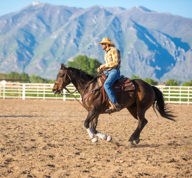 istock Cowboy warming up before event at a rodeo arena 1194396100