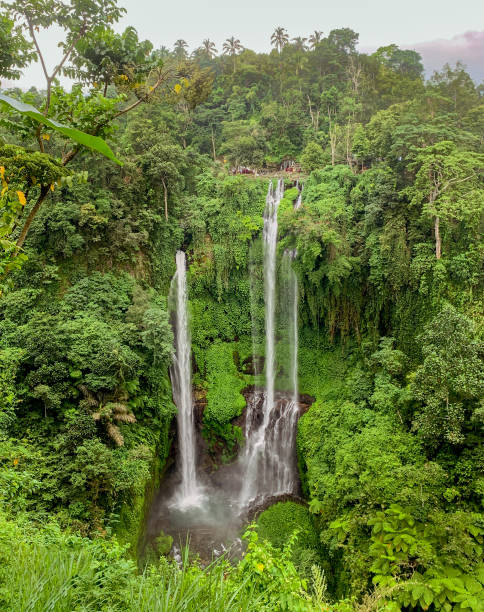 istock Sekumpul waterfall in Bali aerial view. 1194396106