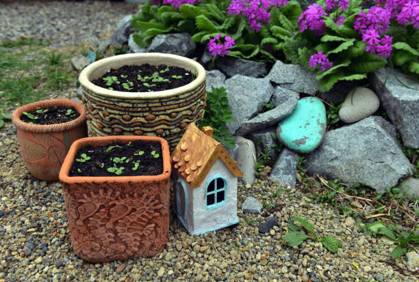 istock Decorative flower pots with seedlings and sprouts by flowerbed with blooming primula. 1194397105