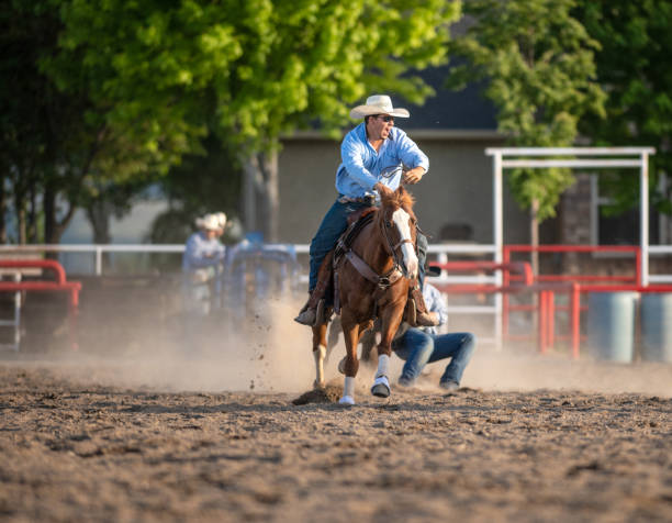 istock Steer Wrestling event at a rodeo arena 1194398481