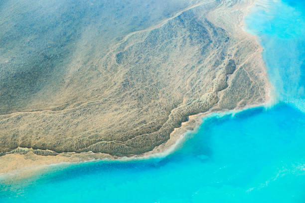 tiwi islands scenic flight - darwin northern territory australia beach imagens e fotografias de stock