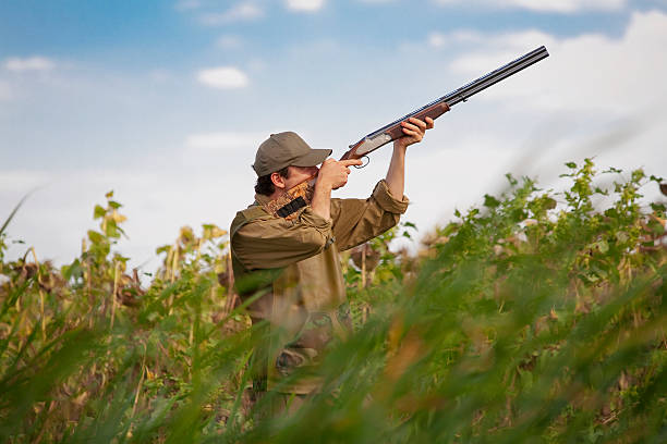 hunter apuntando a un partido durante una fiesta de caza - rifle shotgun hunting camouflage fotografías e imágenes de stock