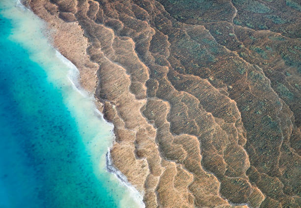 tiwi islands scenic flight - darwin northern territory australia beach - fotografias e filmes do acervo