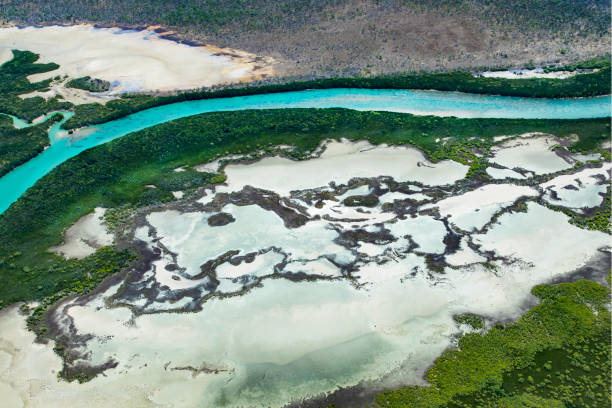 istock Tiwi Islands Scenic Flight 1194405856