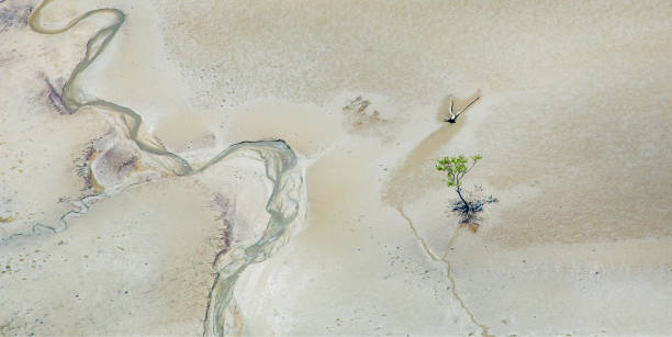 tiwi islands scenic flight - darwin northern territory australia beach - fotografias e filmes do acervo