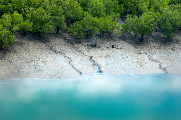 Tiwi Islands Scenic Flight