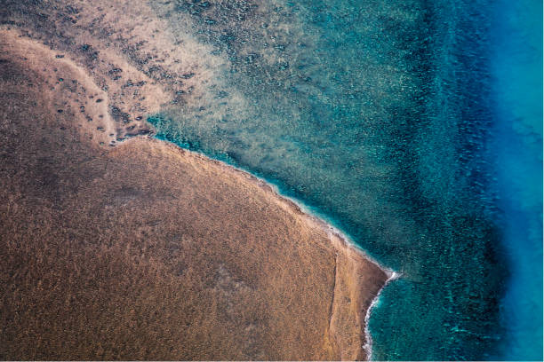 tiwi islands scenic flight - darwin northern territory australia beach imagens e fotografias de stock