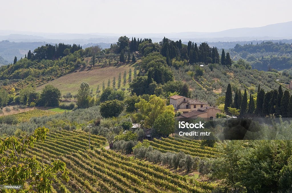 Toscana, paesaggio - Foto stock royalty-free di Agricoltura