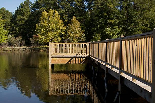 istock Fenced dock at a park lake 119440846