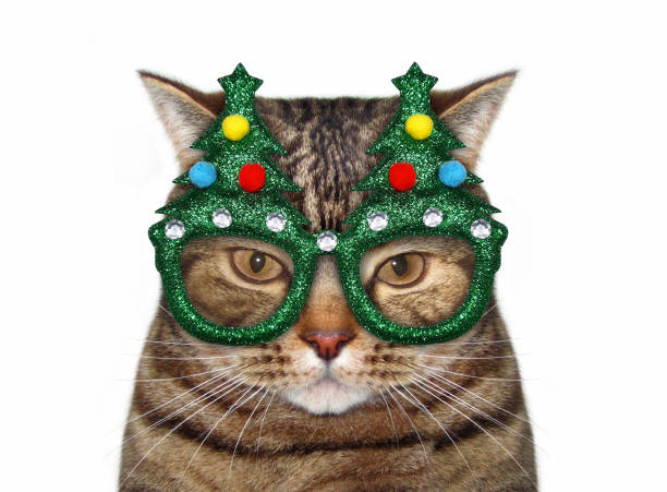 istock Cat in green Christmas glasses 1194415808