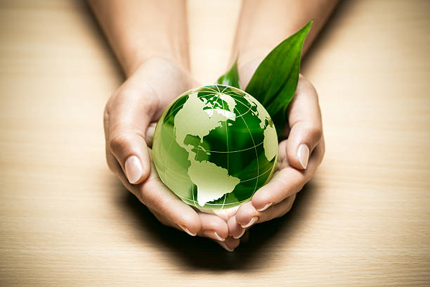Cupped hands holding a glass globe with some grass stock photo