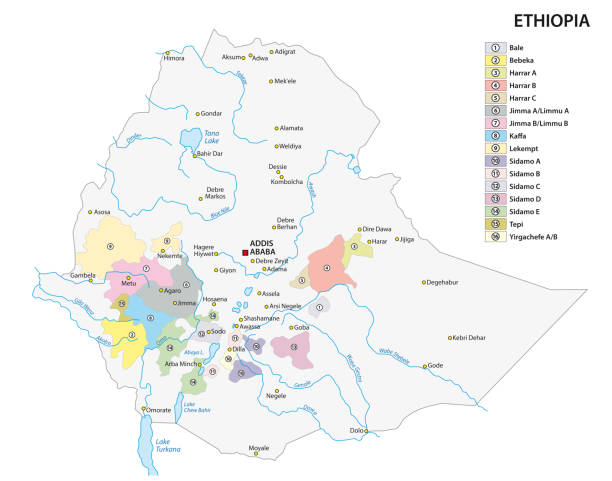 mapa regionów uprawy kawy w etiopii - ethiopian coffee stock illustrations