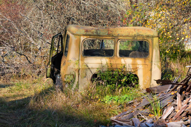 istock Abandoned car wreck in the Chernobyl exclusion zone 1194419182