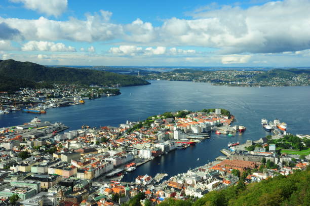 istock bird view of Bergen 1194419501