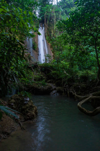 istock Limestone waterfall in a green forest 1194425650