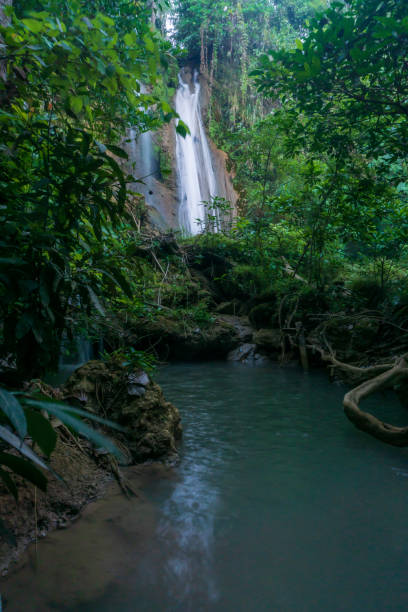 istock Limestone waterfall in a green forest 1194425679