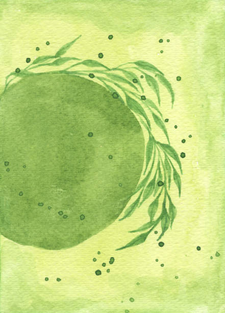 緑色の背景にフレームと葉の緑の円ブラシストロークをペイントした水彩画。 - wallpaper brush paintbrush equipment green点のイラスト素材／クリップアート素材／マンガ素材／アイコン素材