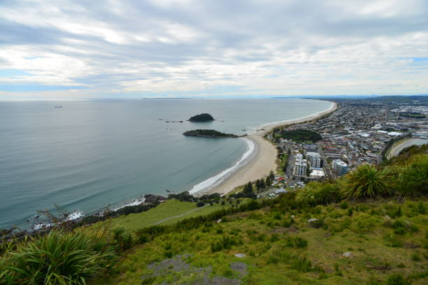 istock Bay of Plenty 1194434437
