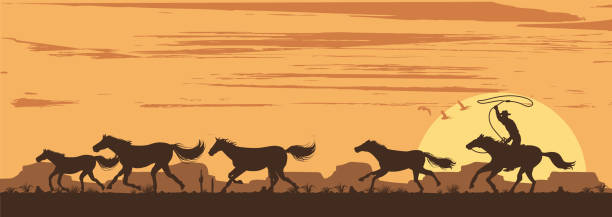ilustrações de stock, clip art, desenhos animados e ícones de silhouette of a cowboy chasing wild horses in desert, vector - night running